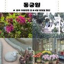 4월 입장료 할인 | 경주 동궁원 후기 | 내돈내산 리뷰