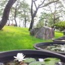 서일농장1 이미지