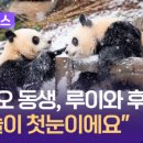 카페첫눈 이미지