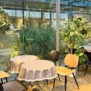 스테이1531 | 부산 광안리브런치 카페 애견동반 가능한 어반플랜트