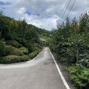 지리산계곡펜션 | 경남 산청 여름철 힐링 숙소 추천 “지리산계곡펜션” 방문 후기