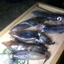 전하낚시 이미지