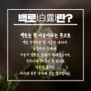 15번째 절기 백로(白露)[2026년 9월 7일(음:7월25일) 일출 6시:06분.일몰18시:55분] 이미지