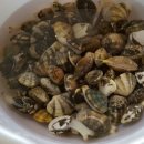 마농 민박 이미지