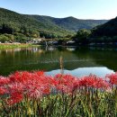 용천사입구 이미지