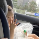 스테이 732 이미지