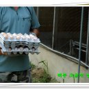 백봉농장 이미지