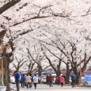 진안안내소 이미지