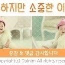 청산도13월펜션 이미지