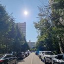 시영 이미지