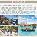 [7월9일][호주][아시아나항공][시드니/골드코스트 6일◆씨월드+현지문화체험◆]\1,890,000원 이미지