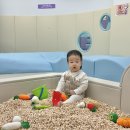 성북17 | 서울형키즈카페 성북구 종암동점 :: 17개월 아기랑 실내놀이터 방문 후기