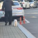 없 음 네이버블로그