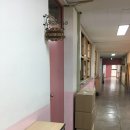 서울강신초등학교 이미지