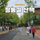 신아교통(주) | 서울 정동길 가벼운 산책 코스