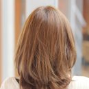 에뜨르보 이미지