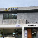 현대종합동물병원 | 고양이 치과 진료 선택 이유! 현대동물병원(고양이전문병원) 스케일링·발치 후기