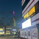 그린렙스 | 송파 파충류샵 ‘사우스 렙타일스’