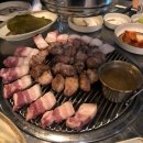 제주탐하리 이미지
