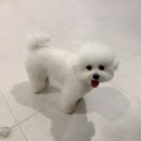 주견야독 이미지