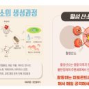 엔잭타커피