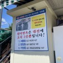 판암동147 | 대전 가양동 원미면옥 독특한 닭냉면, 나혼산 오상욱 단골 맛집!