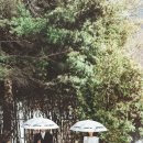 월드스튜디오 네이버블로그