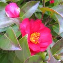 목섬농장 이미지