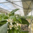 생규농장 이미지