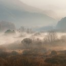 산속의정원 이미지