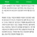 [질문글] 한국 여성 작가 책 추천해주자! 이미지