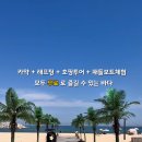 바이몬