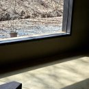[카페 #8] 영종도 카페 비다 / 나만알고싶은 카페 /영종도 카페 강력 추천/내돈내산카페 후기