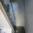 새꽃로(1) 이미지