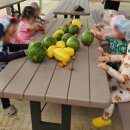 바다의별어린이집 이미지