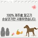 완도동물병원 | [뉴알엑스 강아지간식] 수의사·동물병원 전문점용 간식 후기ㅣ진짜져키·후코이단·제주말고기