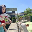 오마이주 | 오산/동탄 동물원 오마이주 내돈내산 솔직후기