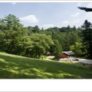 숲속의 하루 이미지