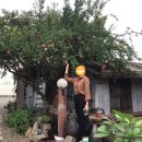 향촌주유소 이미지