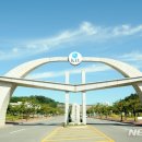 3.15대로 이미지