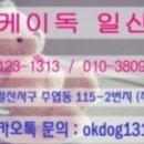 오케이독 이미지