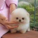 모두와샵 이미지