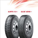 오로라2 이미지