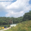 금산-61 이미지