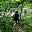 흘리보건진료소 | 인제 물굽이계곡 마장터 가는 길(2023.05.27)