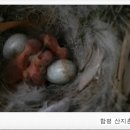 창공농장 이미지