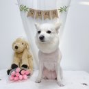 멍앤리치 이미지