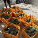 남해군푸드뱅크 이미지