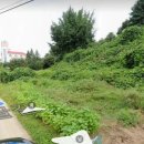 성실카랜드 이미지