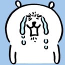 29170-1-B-10 | [관극] 레드북 아이비 지현우 1층 B구열 10열 시야 굿즈 후기